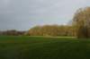 dsc06010_small.jpg