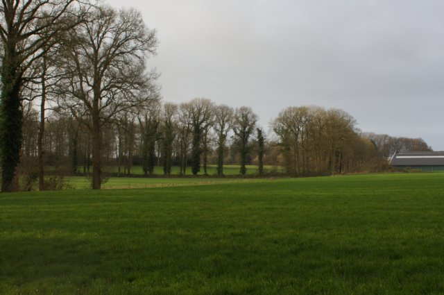 dsc06011.jpg