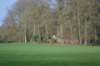 dsc06012_small.jpg
