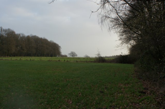dsc06013.jpg