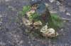 dsc06015_small.jpg