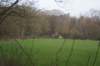 dsc06017_small.jpg