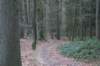 dsc06018_small.jpg