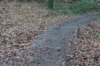 dsc06019_small.jpg
