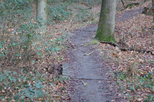 dsc06020.jpg