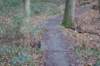 dsc06020_small.jpg