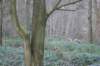 dsc06021_small.jpg