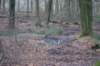 dsc06022_small.jpg