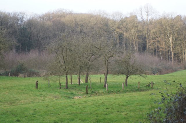 dsc06023.jpg