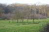 dsc06023_small.jpg