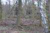 dsc06025_small.jpg