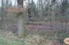 dsc06026_small.jpg