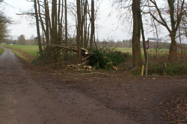 dsc06027.jpg