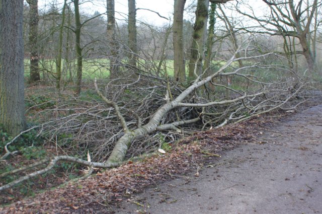dsc06028.jpg