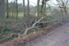 dsc06028_small.jpg