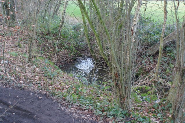 dsc06029.jpg