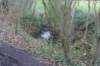 dsc06029_small.jpg