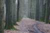 dsc06031_small.jpg