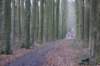 dsc06032_small.jpg
