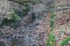 dsc06033_small.jpg