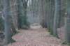 dsc06034_small.jpg