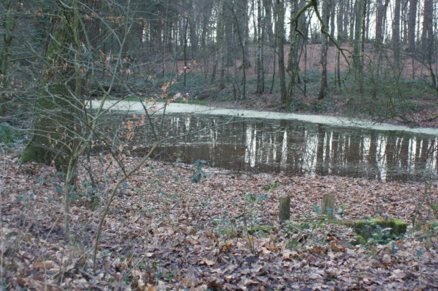 dsc06036.jpg