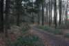 dsc06037_small.jpg