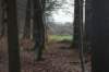 dsc06038_small.jpg