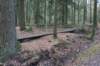 dsc06039_small.jpg