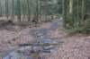 dsc06041_small.jpg