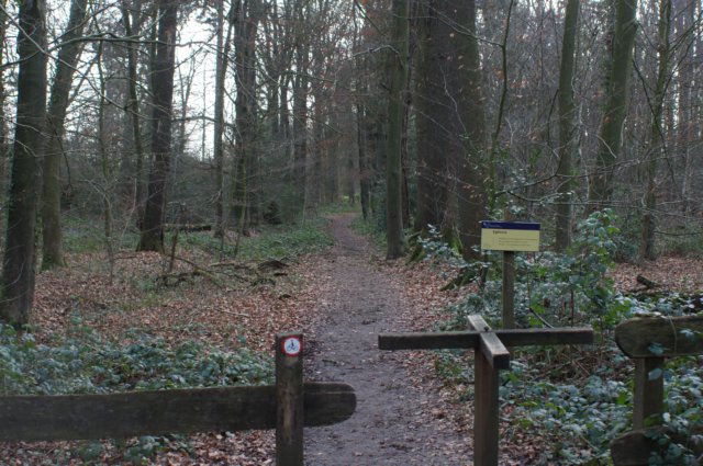 dsc06043.jpg