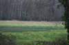 dsc06050_small.jpg