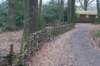 dsc06051_small.jpg