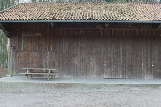 dsc06058.jpg