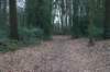 dsc06061_small.jpg