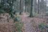 dsc06062_small.jpg