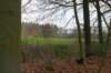 dsc06064_small.jpg