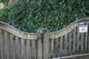 dsc06067_small.jpg