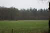 dsc05936_small.jpg