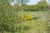 dsc07055_small.jpg