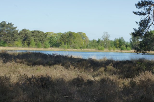 dsc07077.jpg