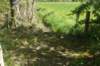 dsc07079_small.jpg