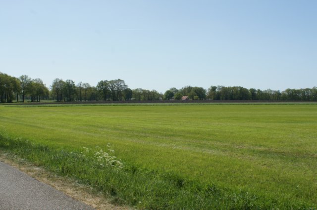 dsc07114.jpg