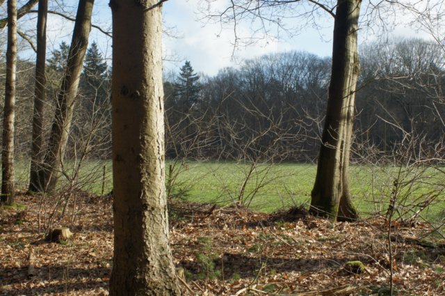 dsc06207.jpg