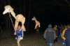 dsc06265_small.jpg
