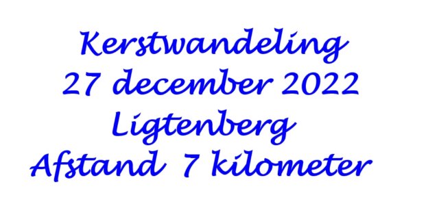 kerstwandelingtelichtenberg.jpg