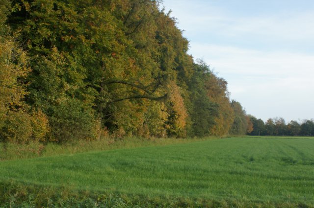 dsc08748.jpg