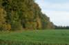 dsc08748_small.jpg