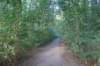 dsc08749_small.jpg