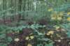 dsc08751_small.jpg